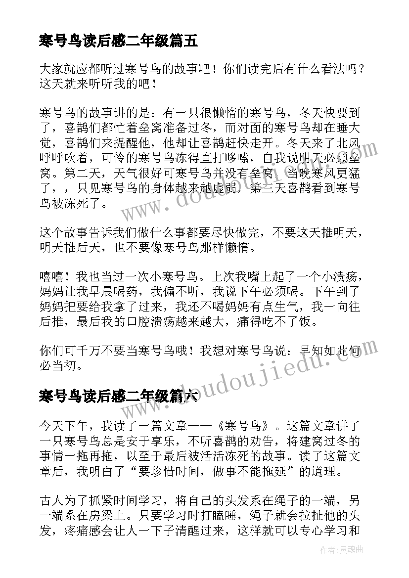 2023年寒号鸟读后感二年级 寒号鸟读后感(汇总7篇)