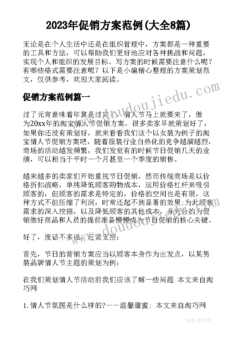 2023年促销方案范例(大全8篇)