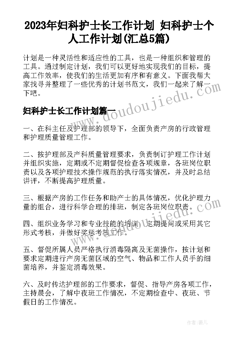 2023年妇科护士长工作计划 妇科护士个人工作计划(汇总5篇)