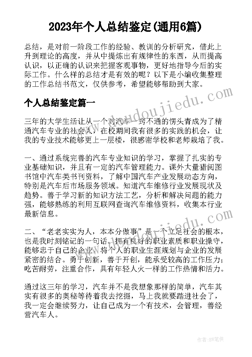 2023年个人总结鉴定(通用6篇)