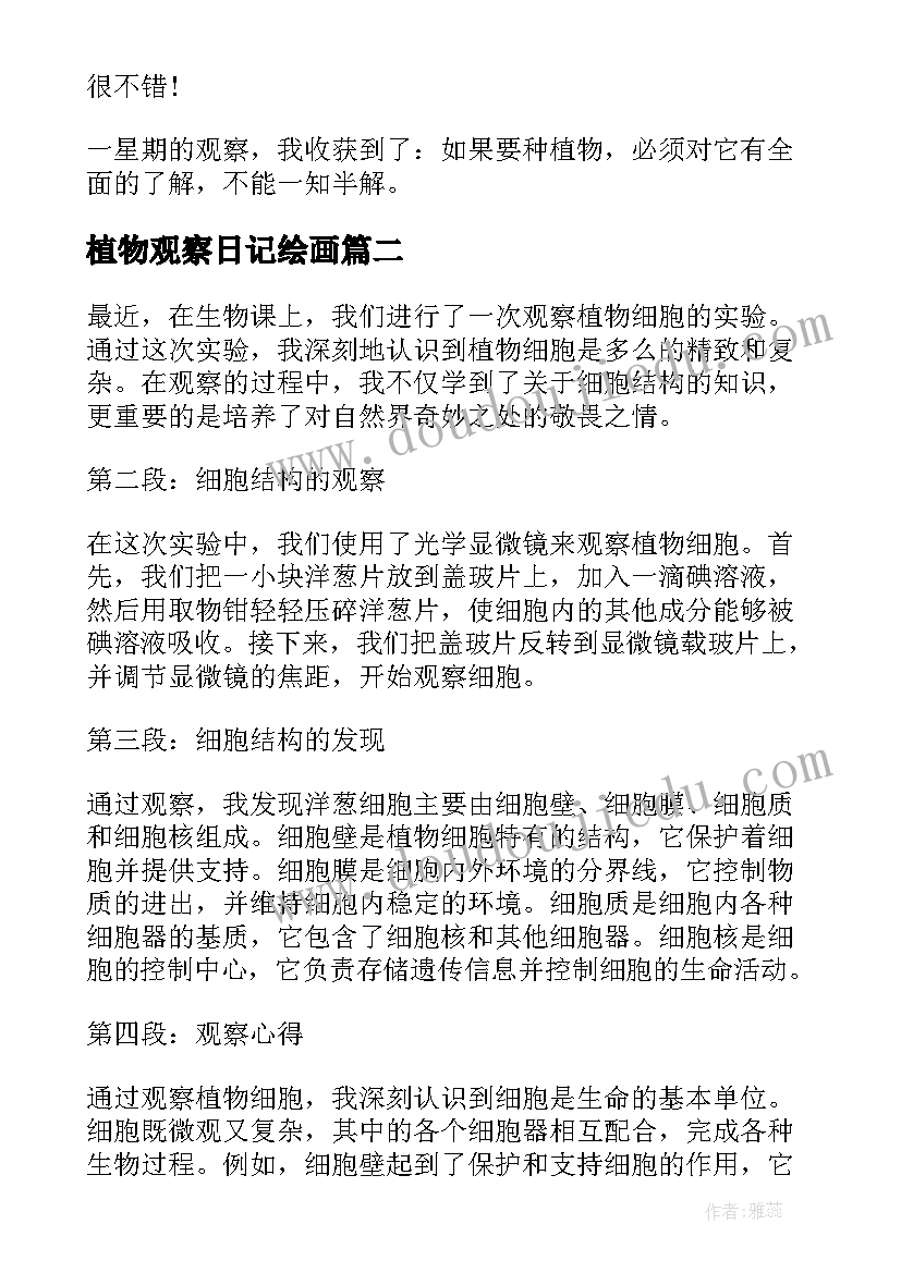 2023年植物观察日记绘画 植物观察日记(大全6篇)