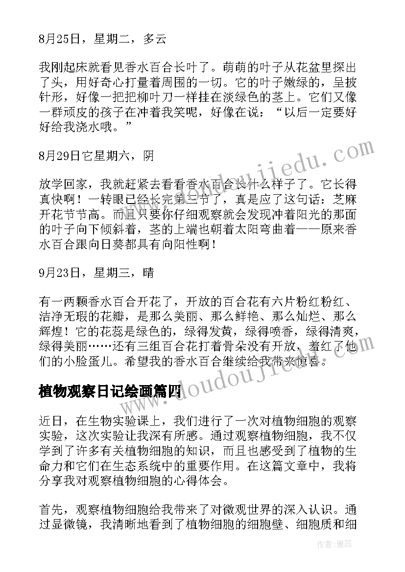 2023年植物观察日记绘画 植物观察日记(大全6篇)