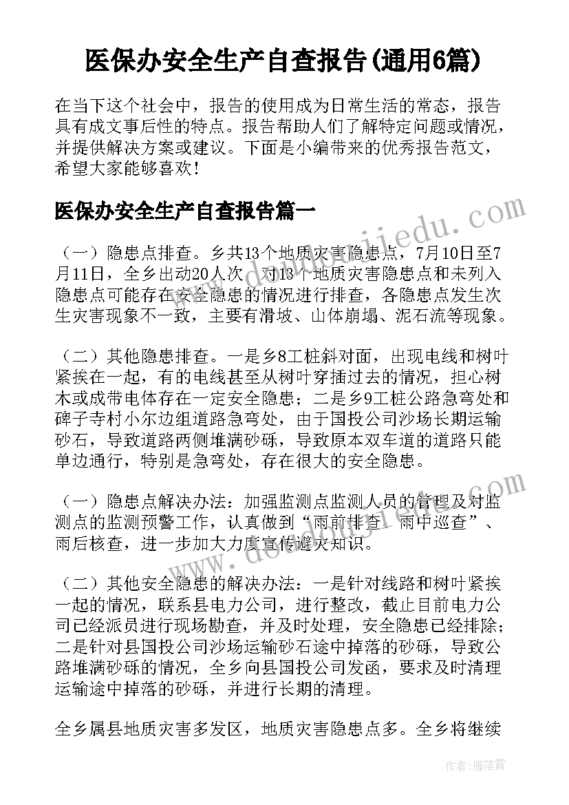 医保办安全生产自查报告(通用6篇)