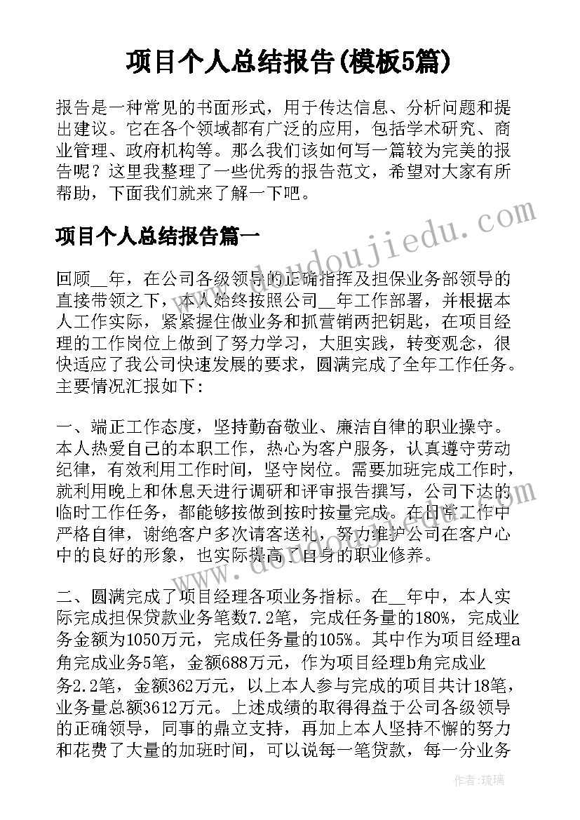 项目个人总结报告(模板5篇)