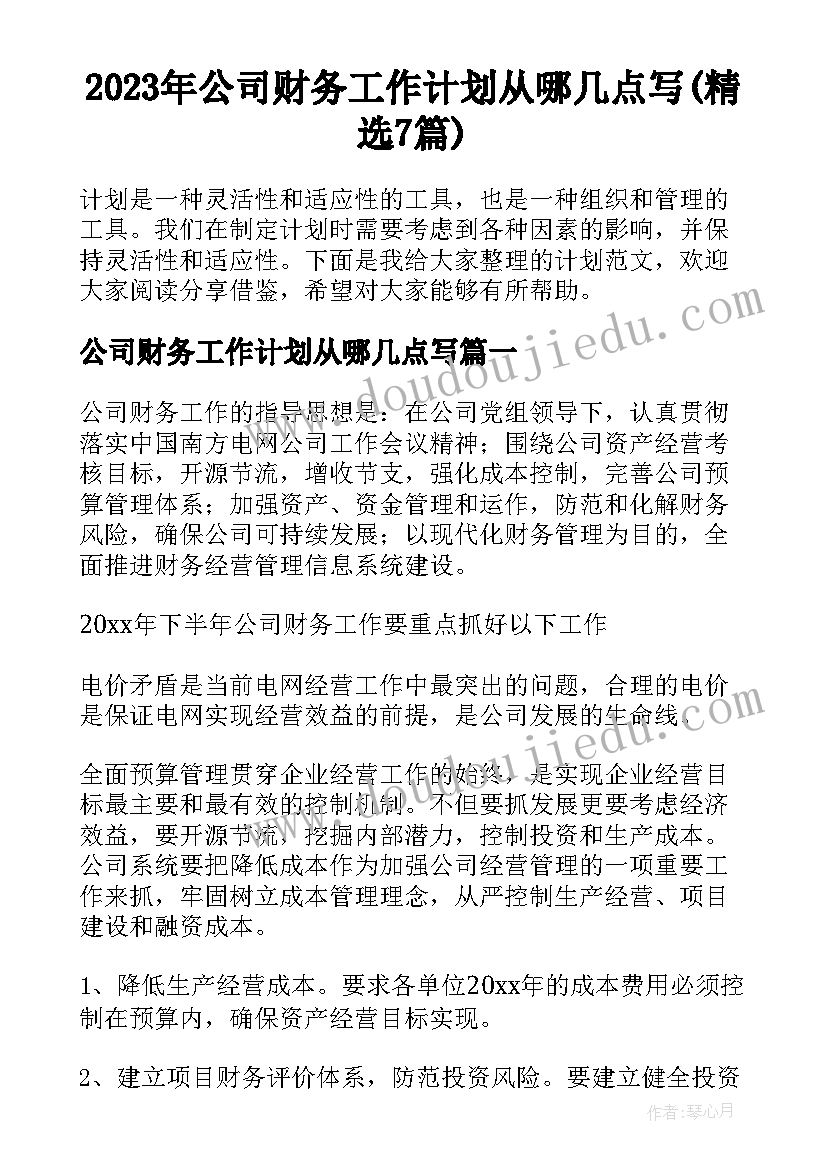 2023年公司财务工作计划从哪几点写(精选7篇)