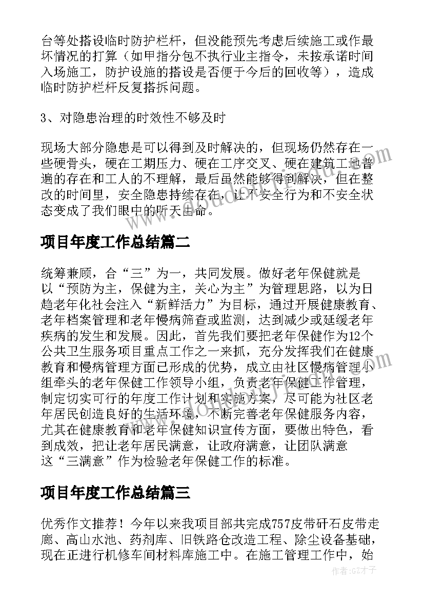 2023年项目年度工作总结(优秀6篇)