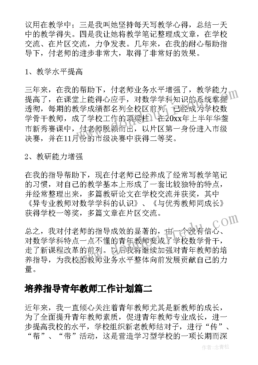 2023年培养指导青年教师工作计划 指导培养青年教师总结(模板8篇)