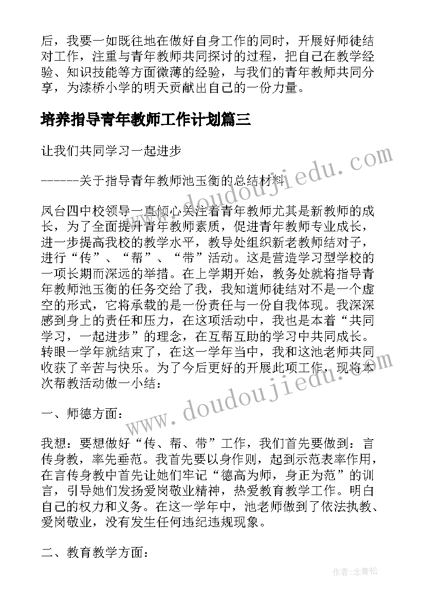 2023年培养指导青年教师工作计划 指导培养青年教师总结(模板8篇)