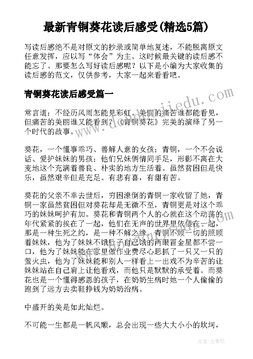 最新青铜葵花读后感受(精选5篇)