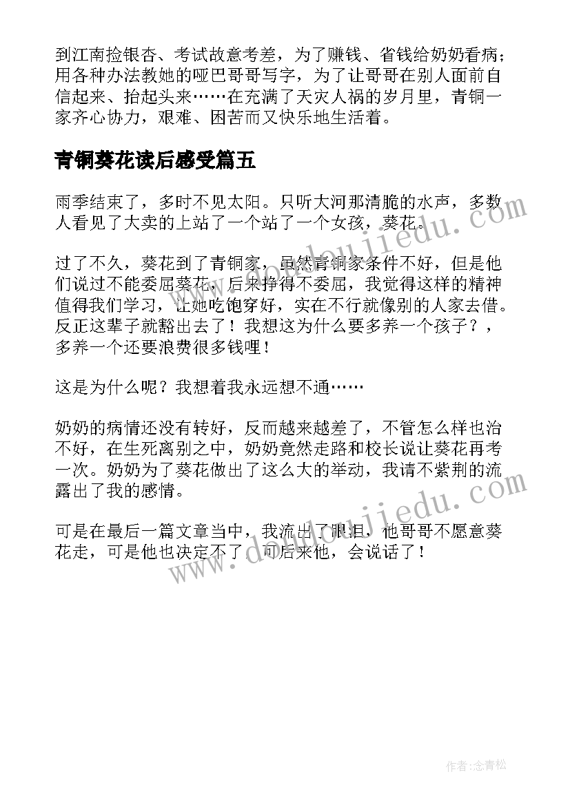 最新青铜葵花读后感受(精选5篇)