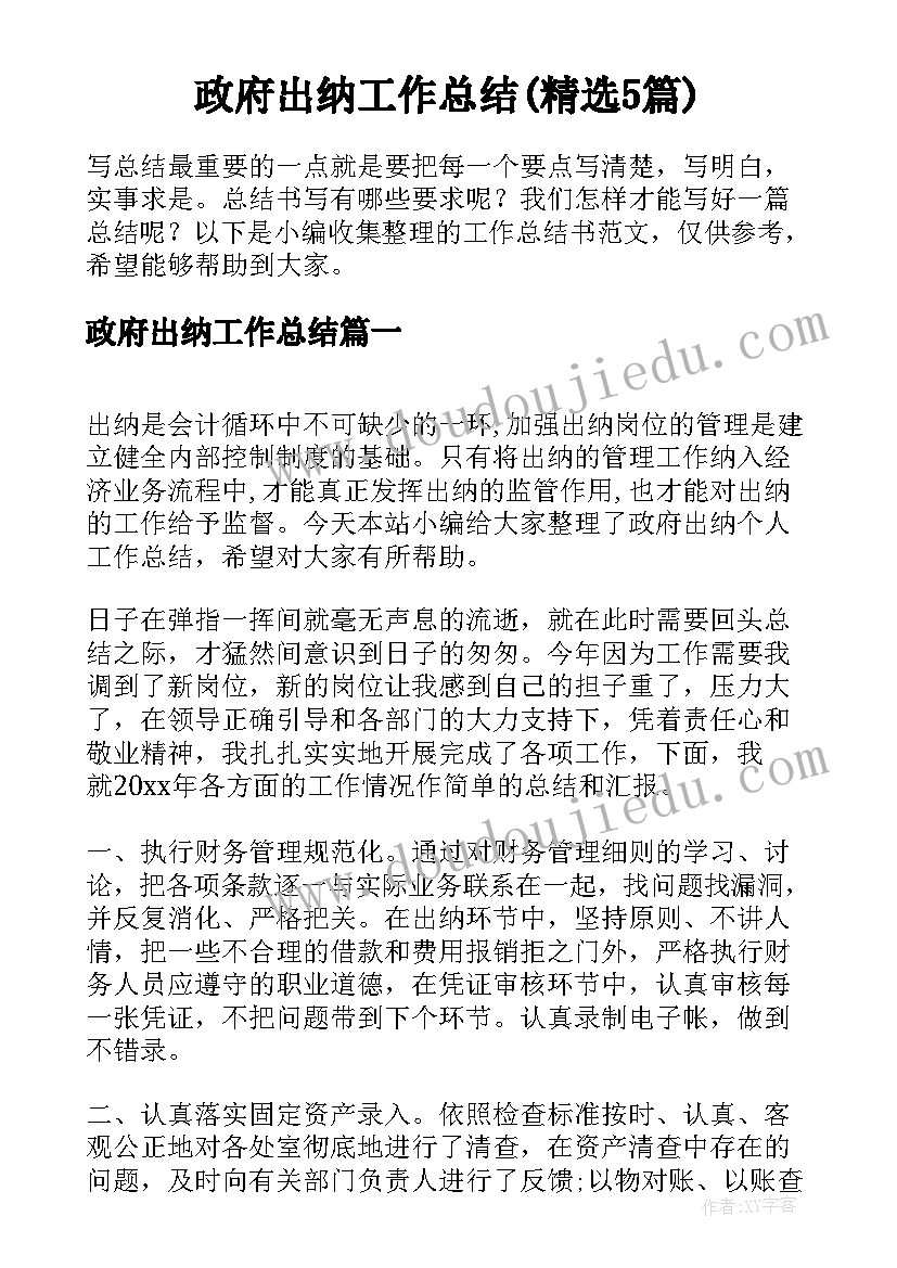 政府出纳工作总结(精选5篇)