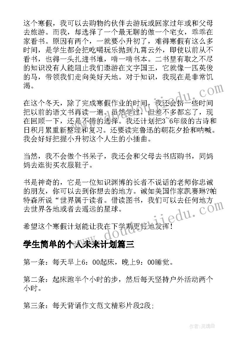 2023年学生简单的个人未来计划 小学生暑假计划表(模板8篇)