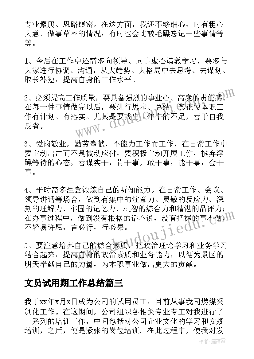 2023年文员试用期工作总结(通用5篇)