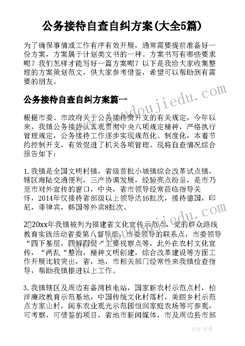 公务接待自查自纠方案(大全5篇)