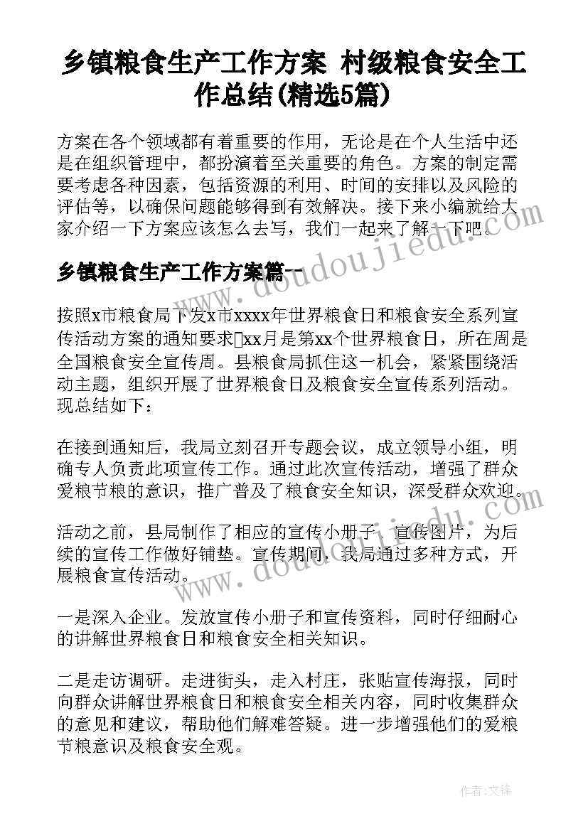 乡镇粮食生产工作方案 村级粮食安全工作总结(精选5篇)