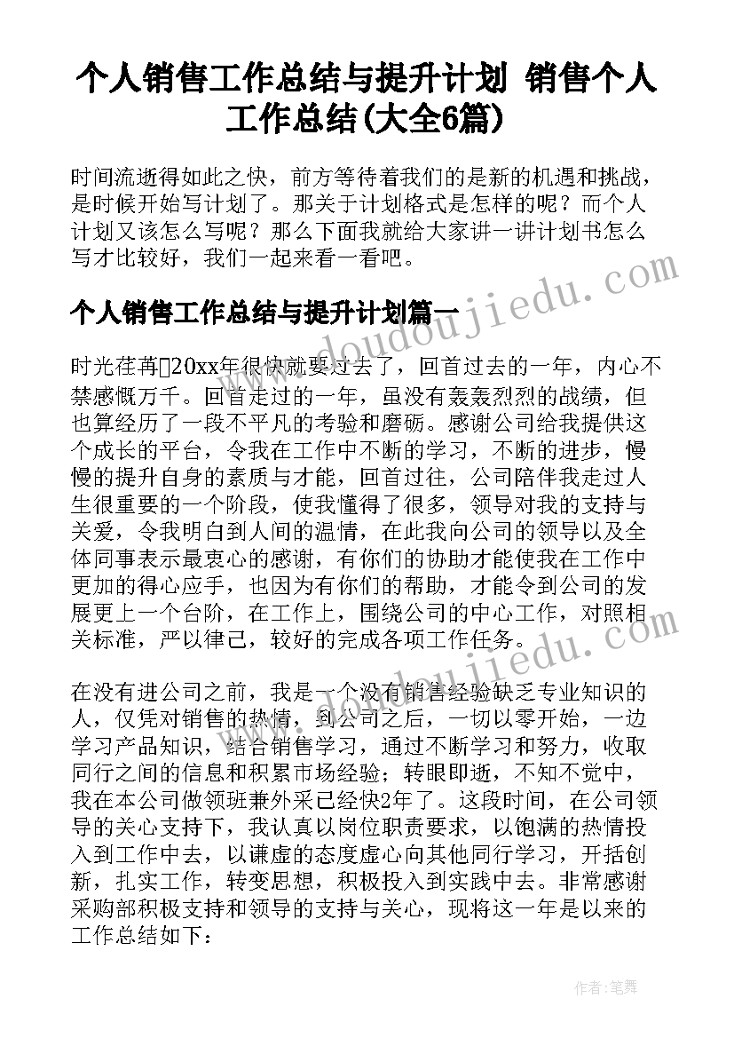 个人销售工作总结与提升计划 销售个人工作总结(大全6篇)