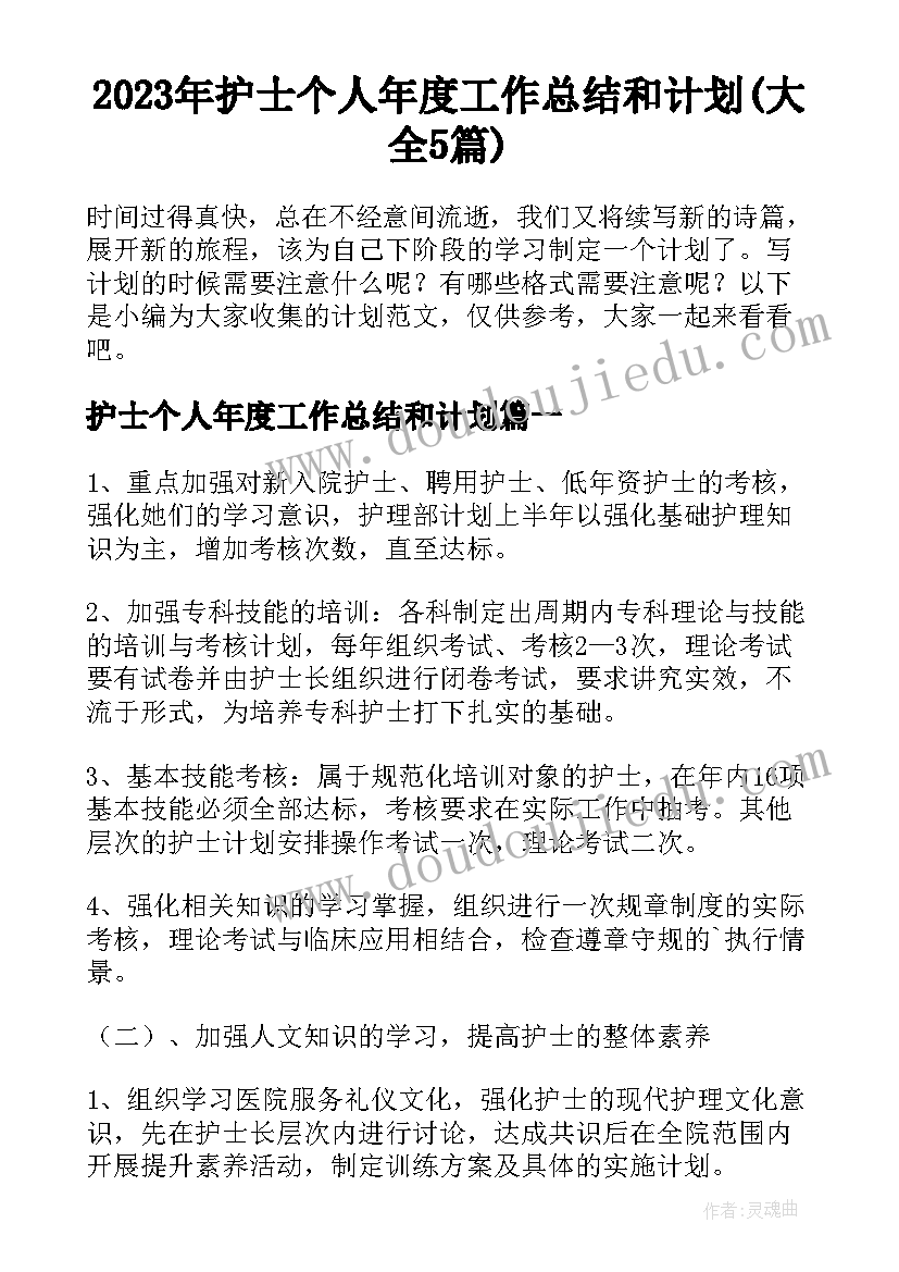 2023年护士个人年度工作总结和计划(大全5篇)