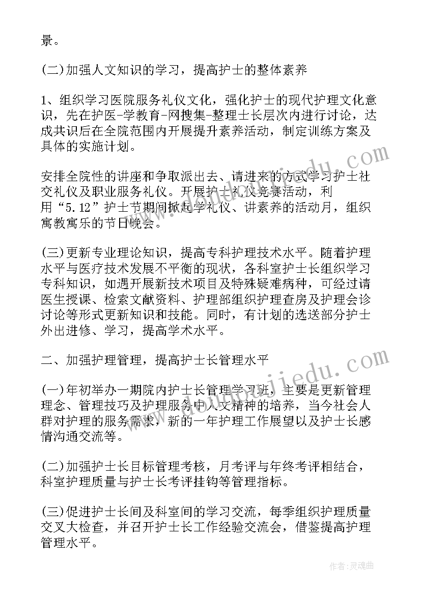 2023年护士个人年度工作总结和计划(大全5篇)