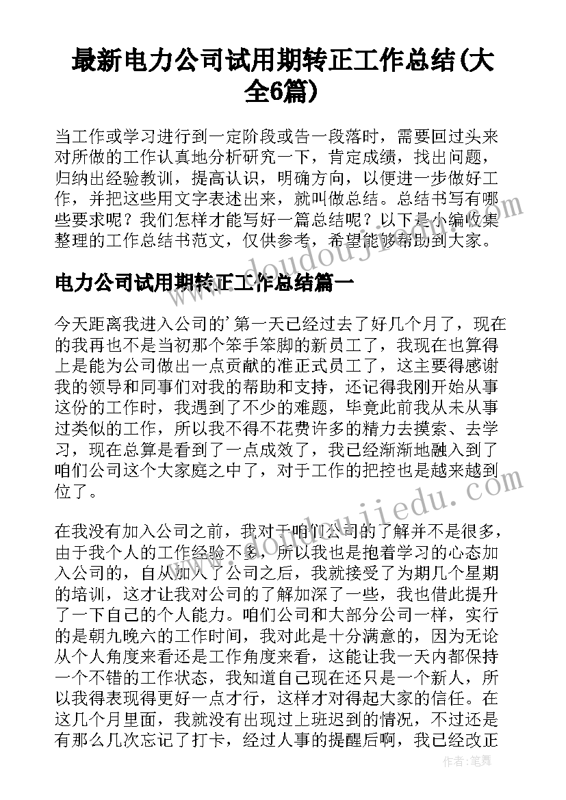 最新电力公司试用期转正工作总结(大全6篇)