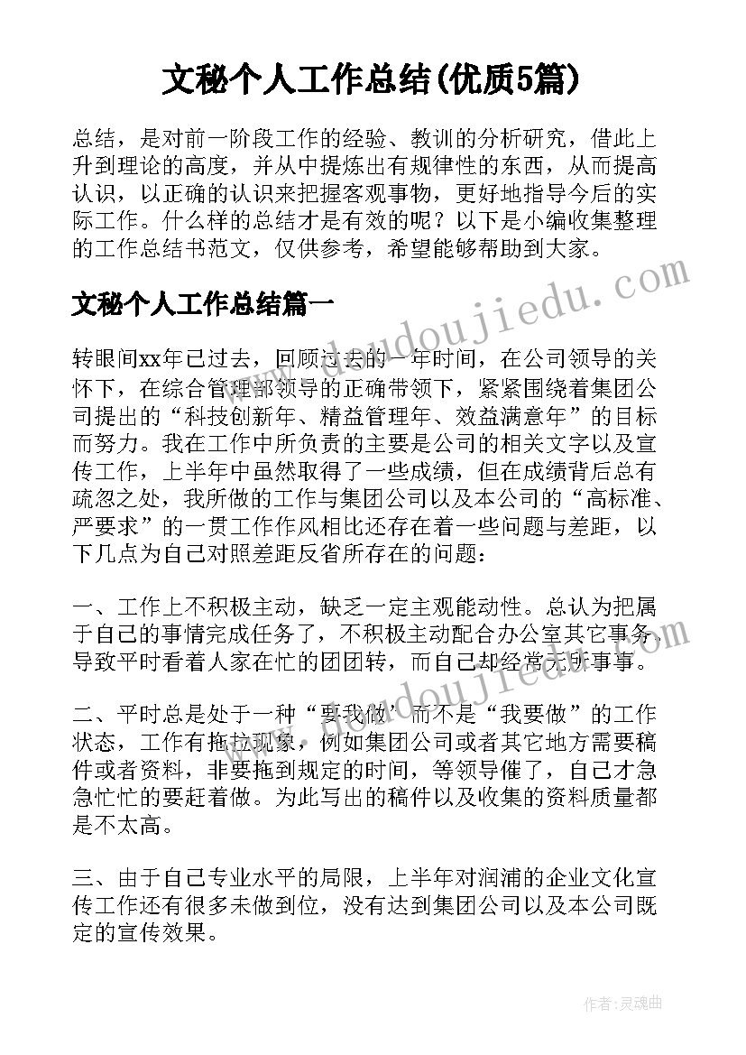 文秘个人工作总结(优质5篇)