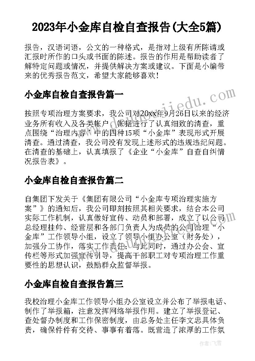 2023年小金库自检自查报告(大全5篇)