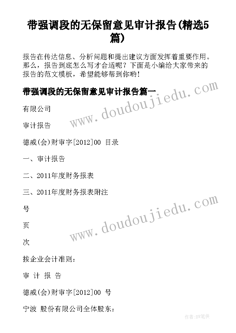 带强调段的无保留意见审计报告(精选5篇)