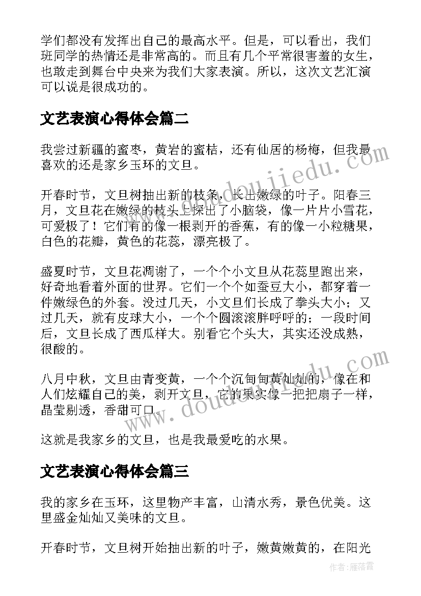 2023年文艺表演心得体会(大全5篇)