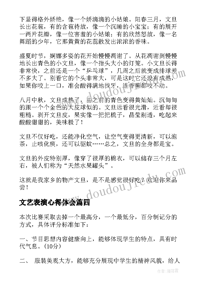 2023年文艺表演心得体会(大全5篇)