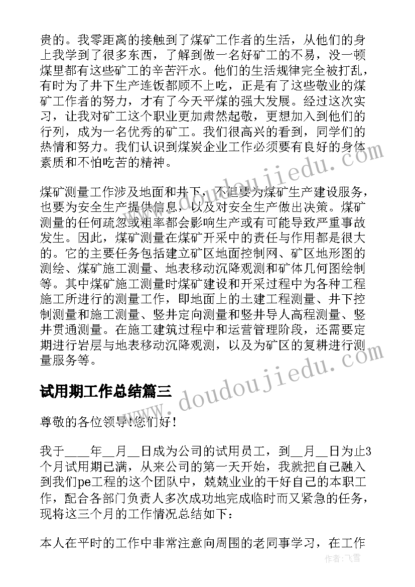 最新试用期工作总结(优质5篇)