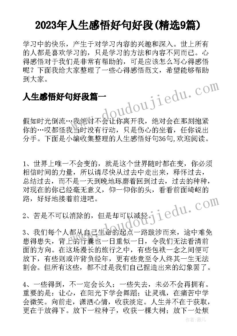 2023年人生感悟好句好段(精选9篇)