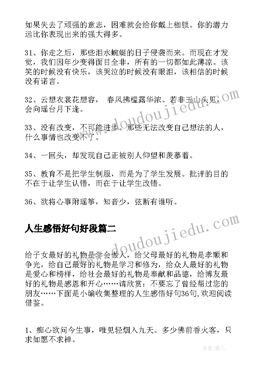 2023年人生感悟好句好段(精选9篇)