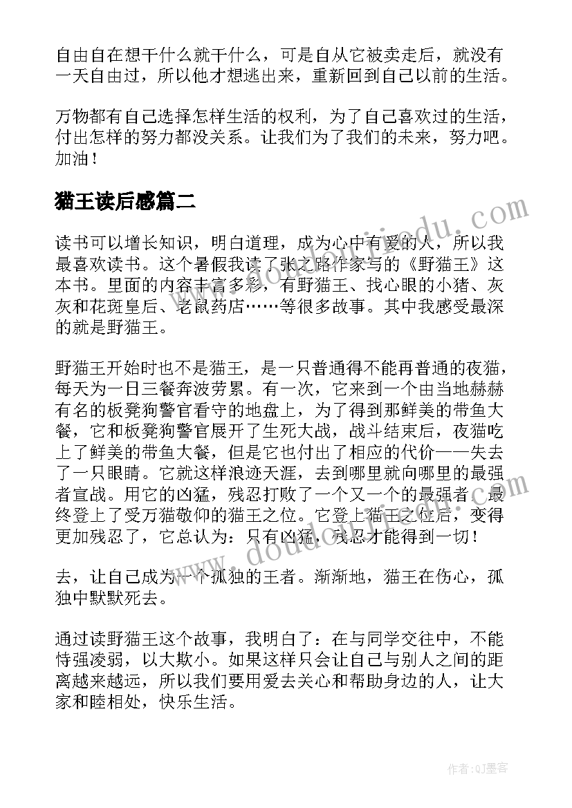 2023年猫王读后感(精选5篇)