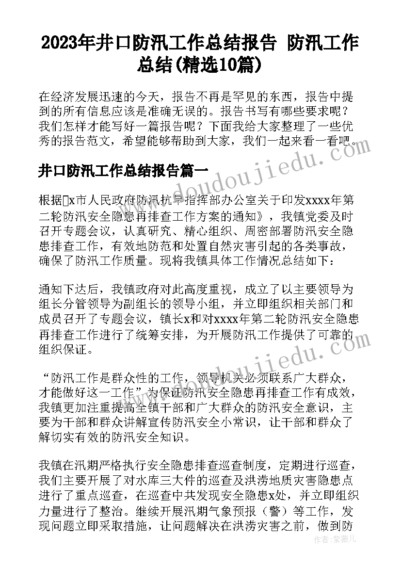 2023年井口防汛工作总结报告 防汛工作总结(精选10篇)