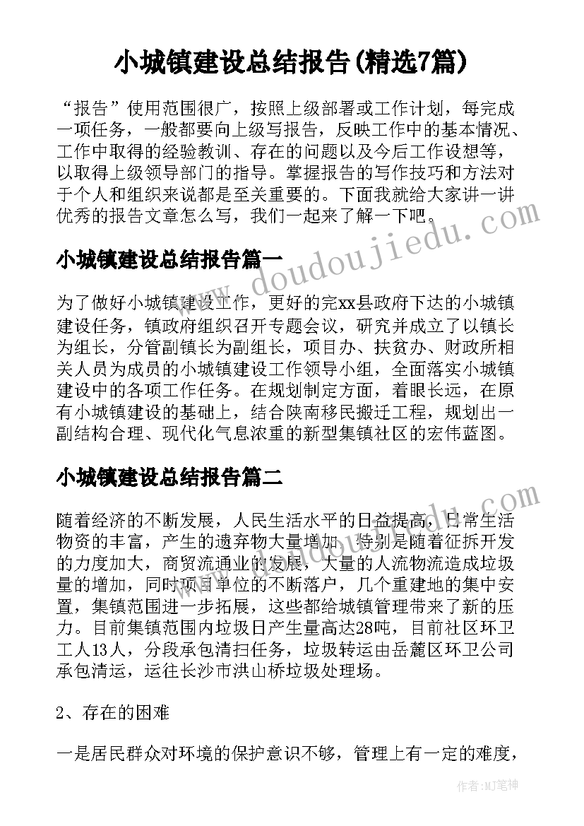 小城镇建设总结报告(精选7篇)