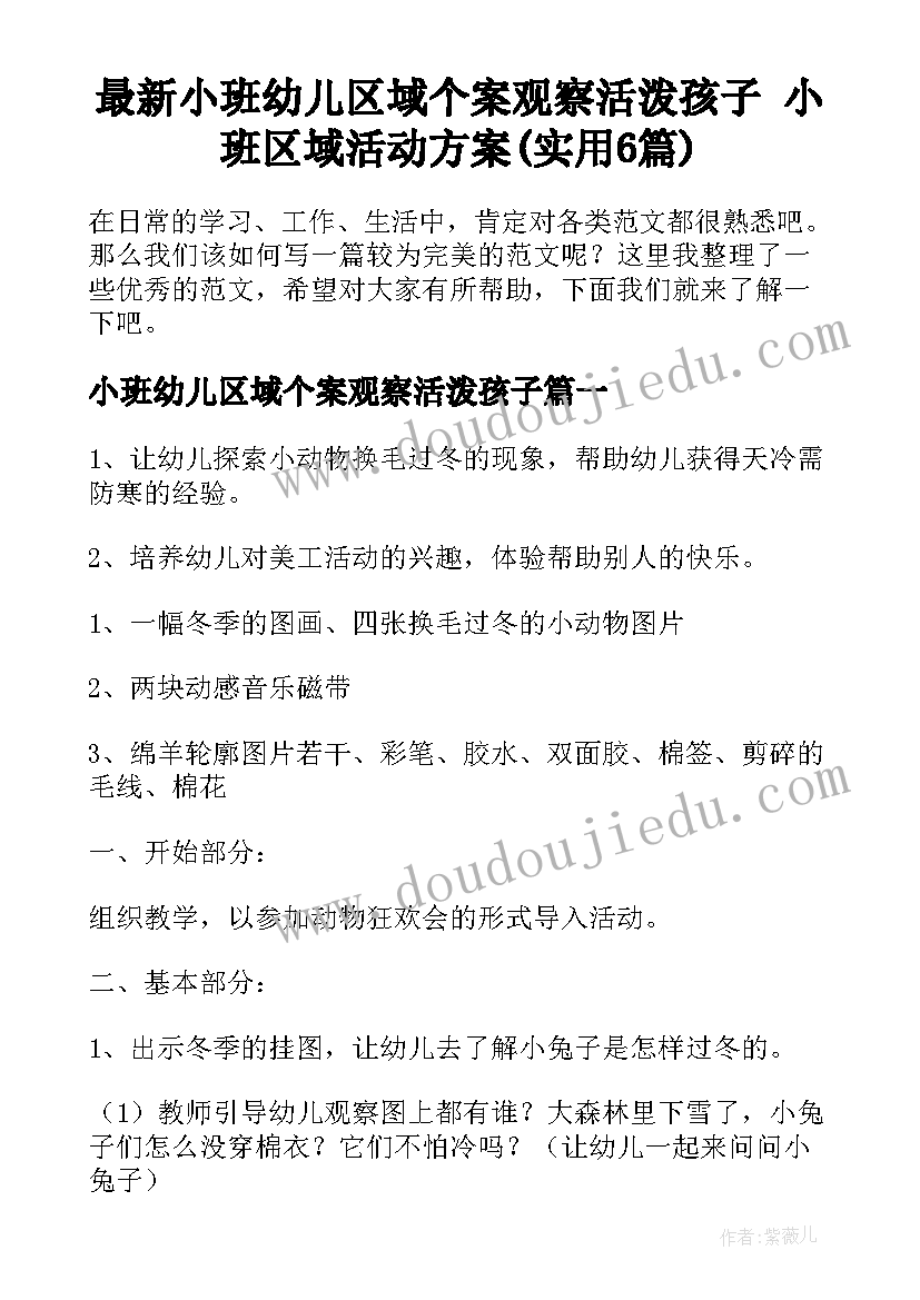 最新小班幼儿区域个案观察活泼孩子 小班区域活动方案(实用6篇)