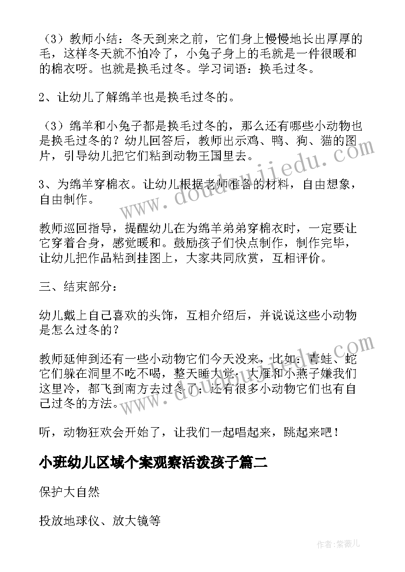 最新小班幼儿区域个案观察活泼孩子 小班区域活动方案(实用6篇)