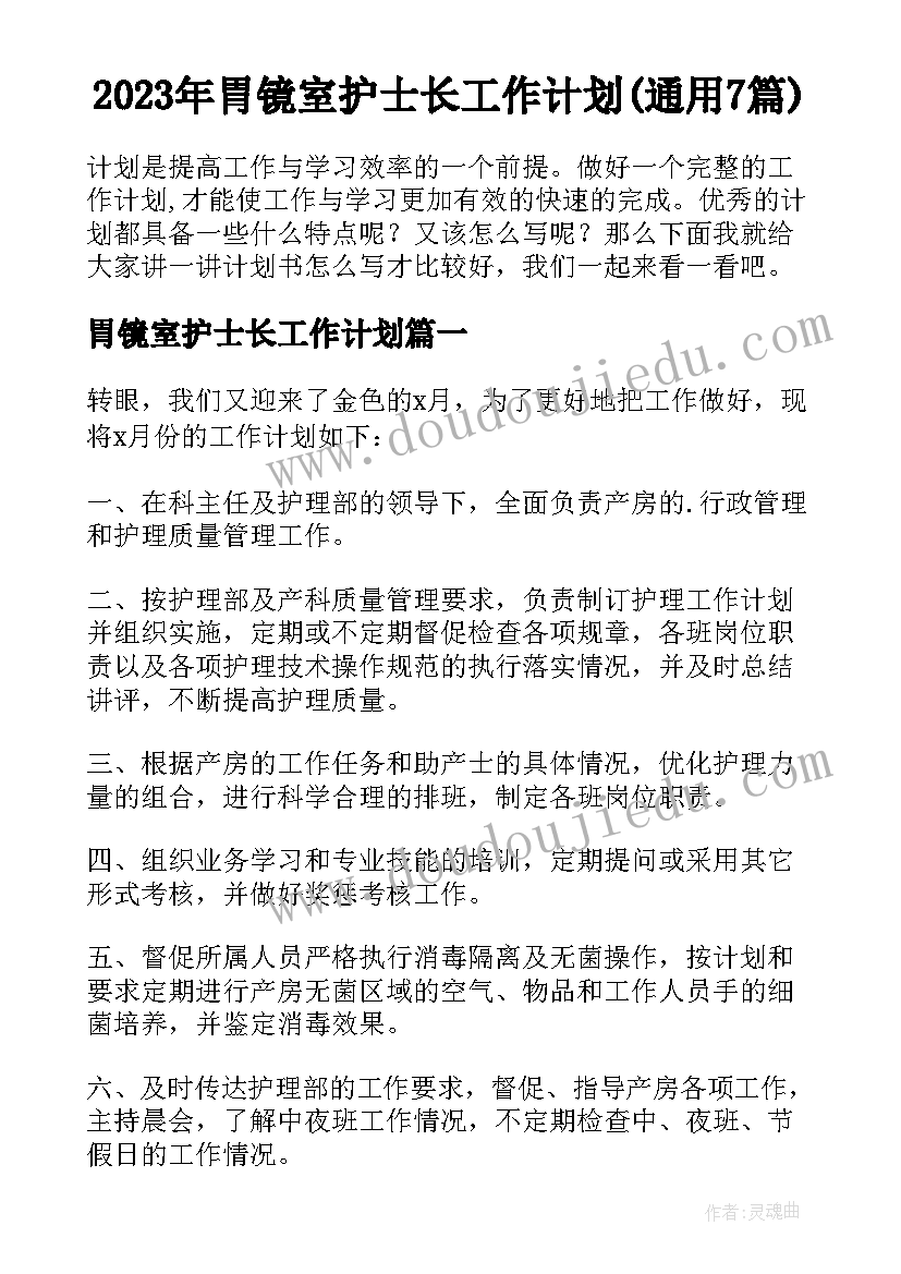 2023年胃镜室护士长工作计划(通用7篇)