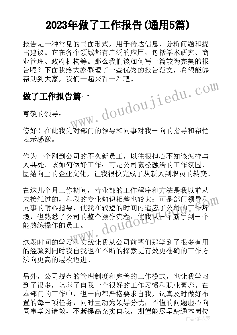 2023年做了工作报告(通用5篇)