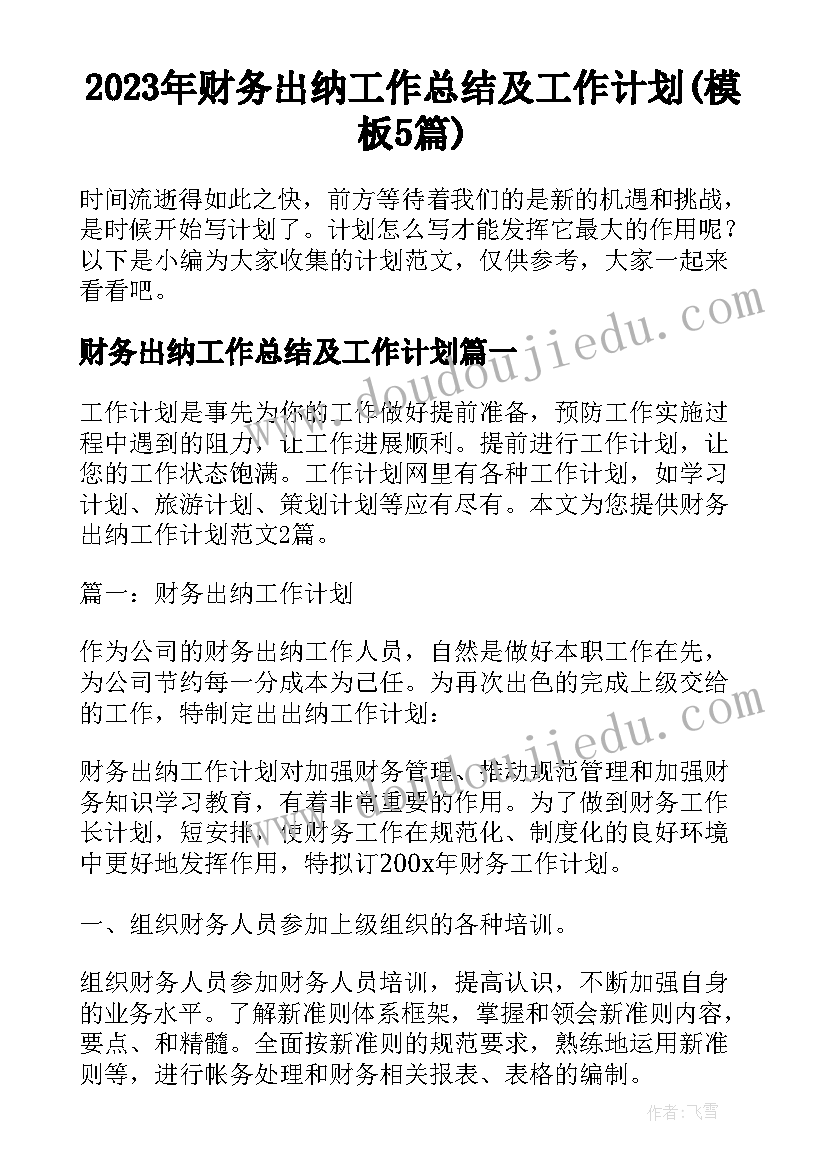 2023年财务出纳工作总结及工作计划(模板5篇)