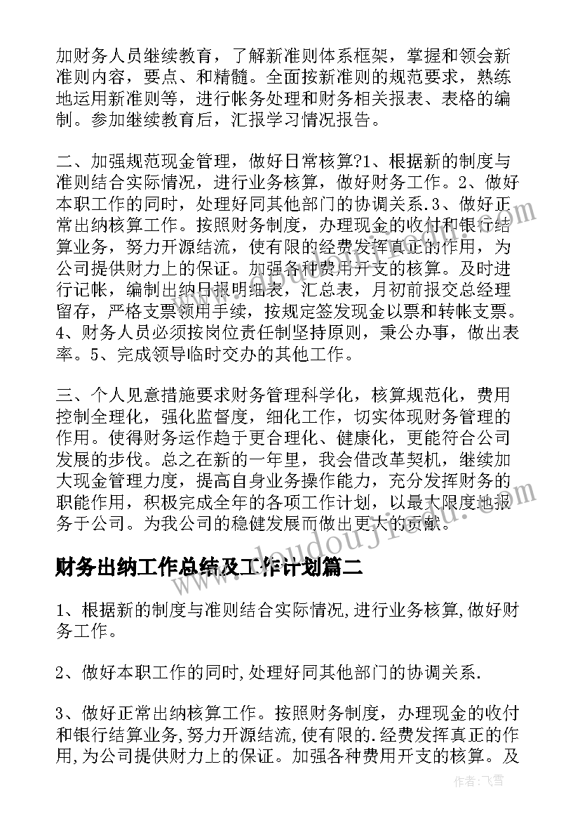 2023年财务出纳工作总结及工作计划(模板5篇)