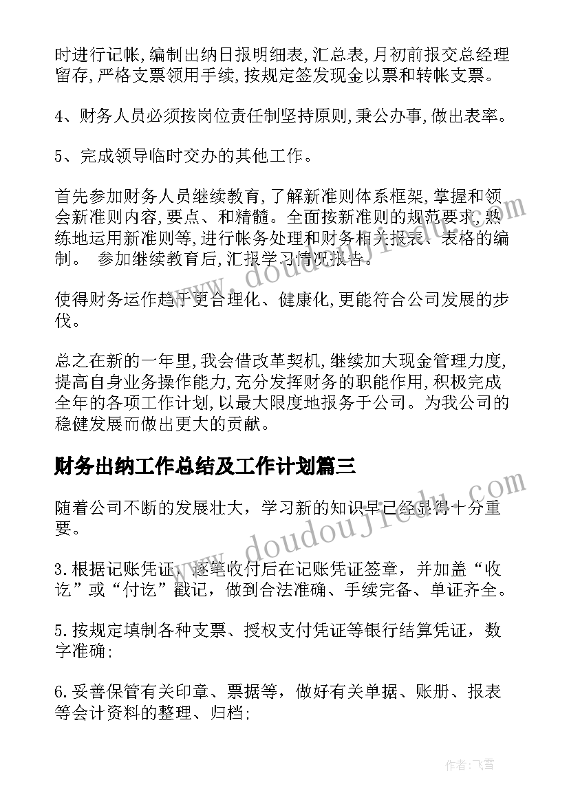 2023年财务出纳工作总结及工作计划(模板5篇)