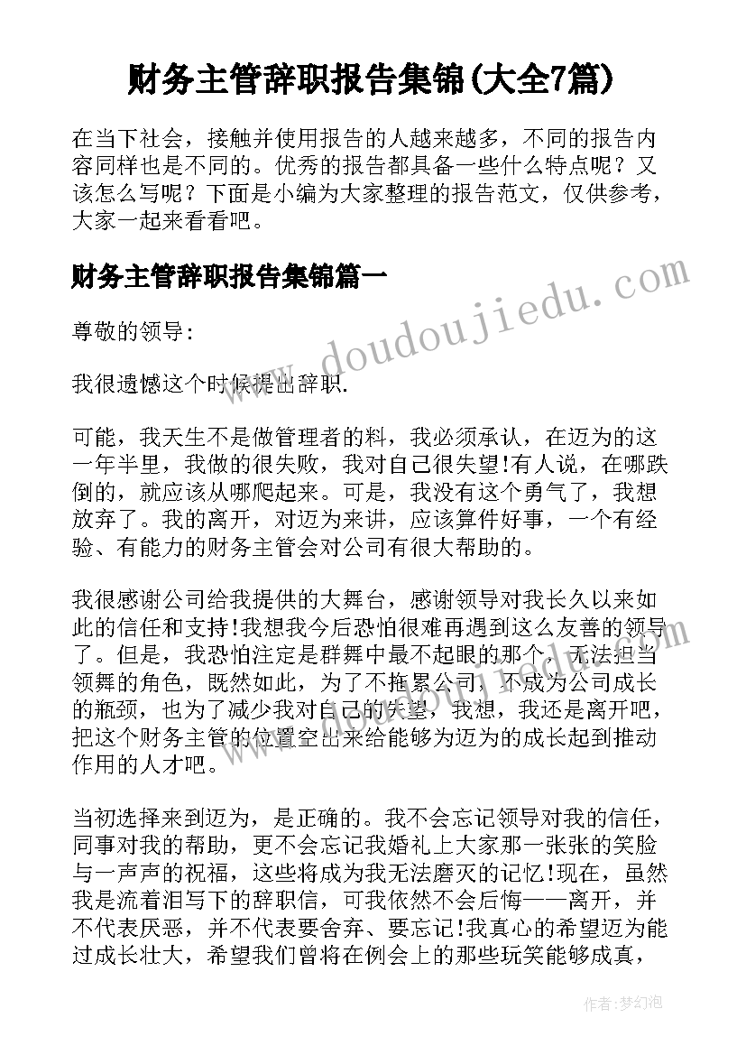 财务主管辞职报告集锦(大全7篇)