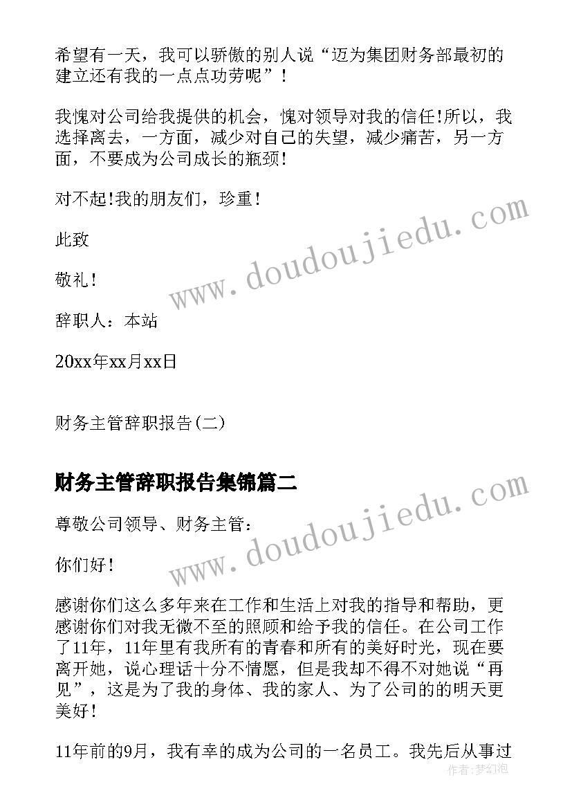 财务主管辞职报告集锦(大全7篇)