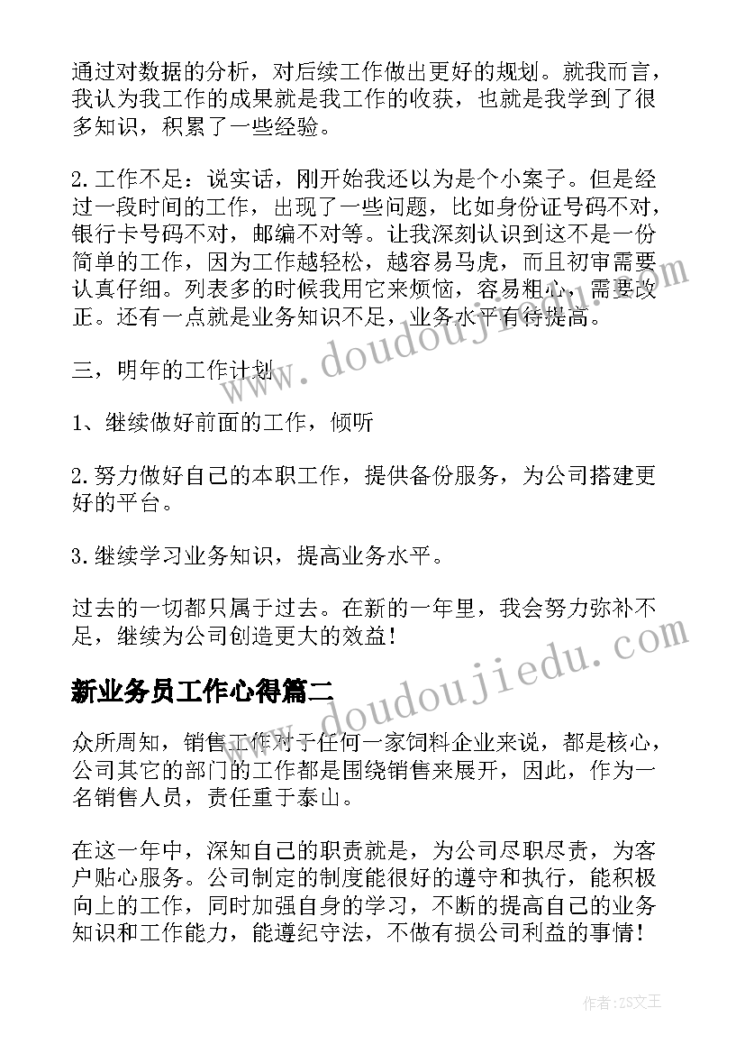 最新新业务员工作心得 业务员年终工作总结(通用9篇)