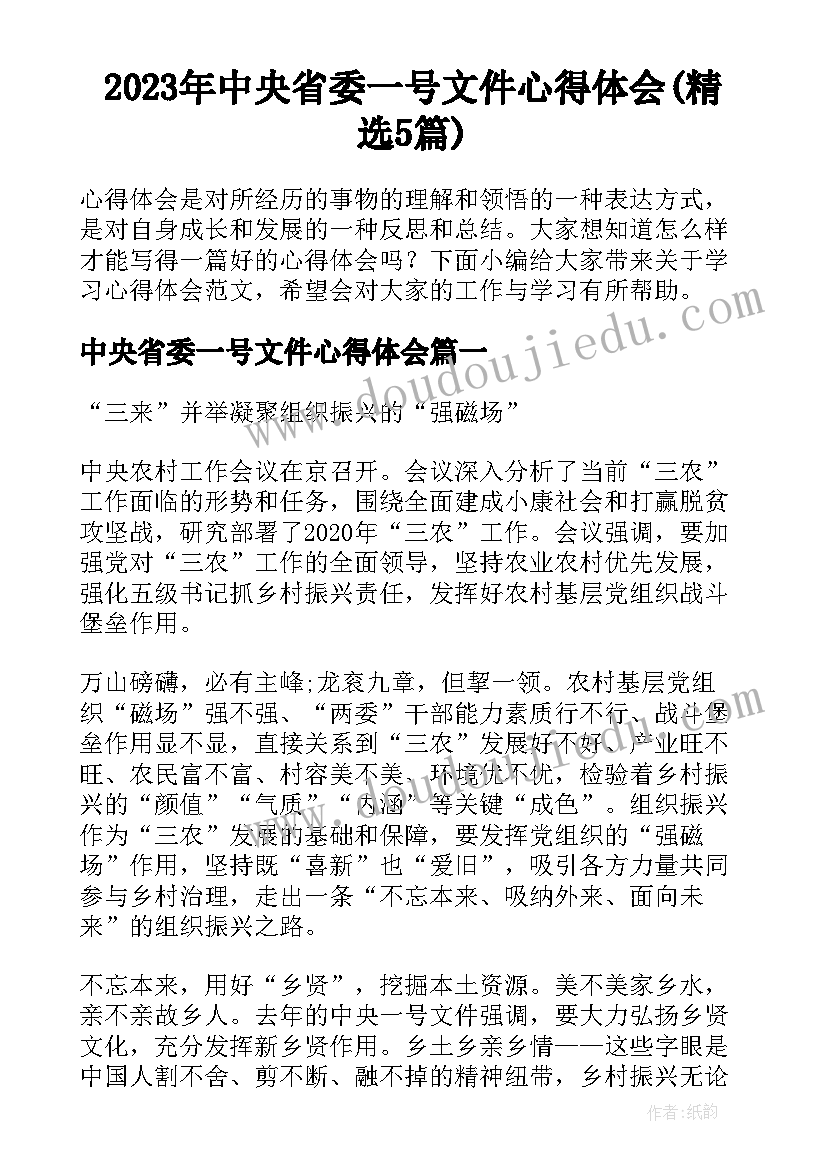 2023年中央省委一号文件心得体会(精选5篇)