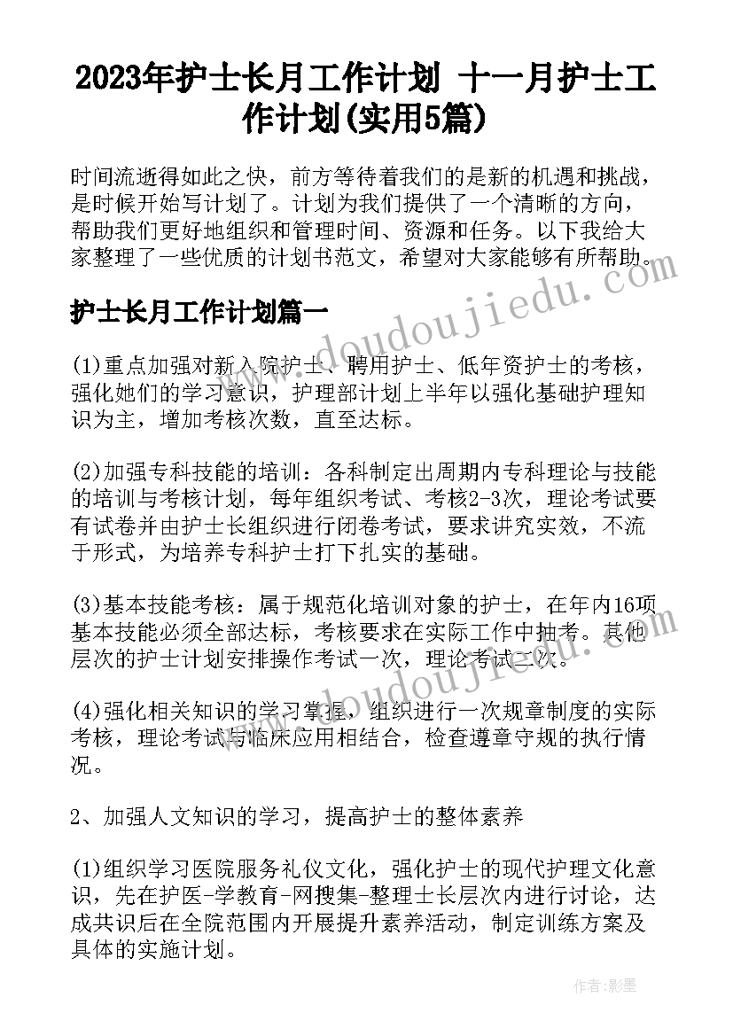 2023年护士长月工作计划 十一月护士工作计划(实用5篇)