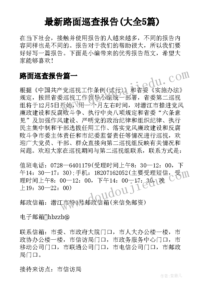 最新路面巡查报告(大全5篇)