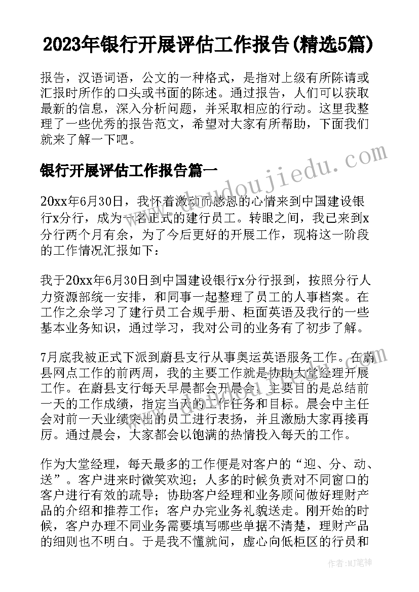 2023年银行开展评估工作报告(精选5篇)