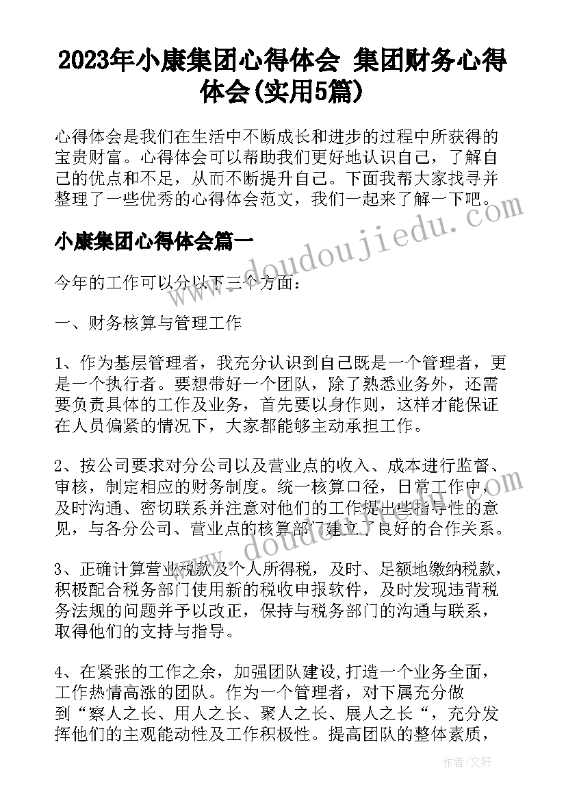 2023年小康集团心得体会 集团财务心得体会(实用5篇)