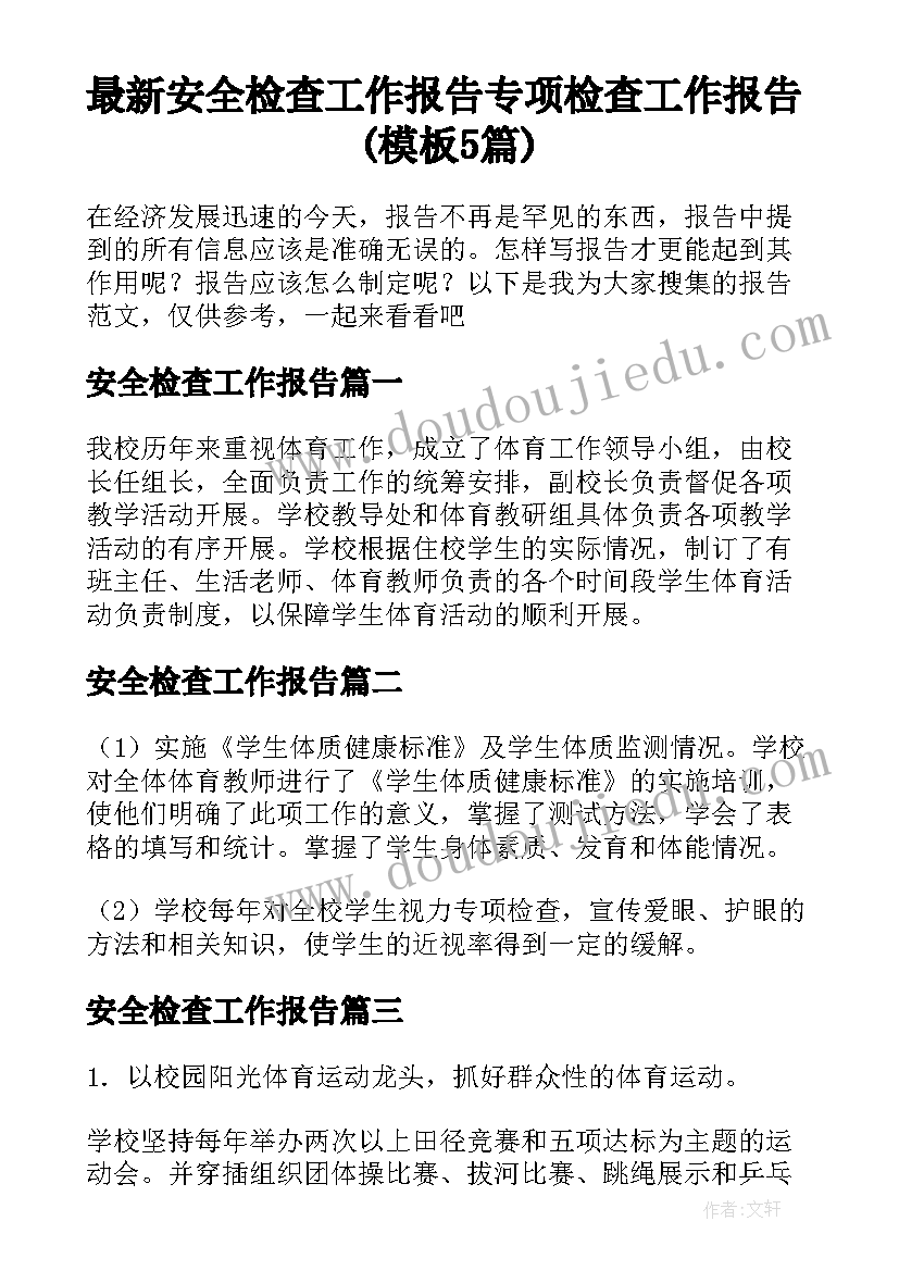 最新安全检查工作报告 专项检查工作报告(模板5篇)